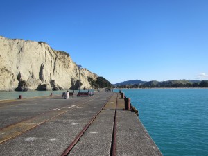 Tolaga Bay-The Mount-Cooks Beach-006